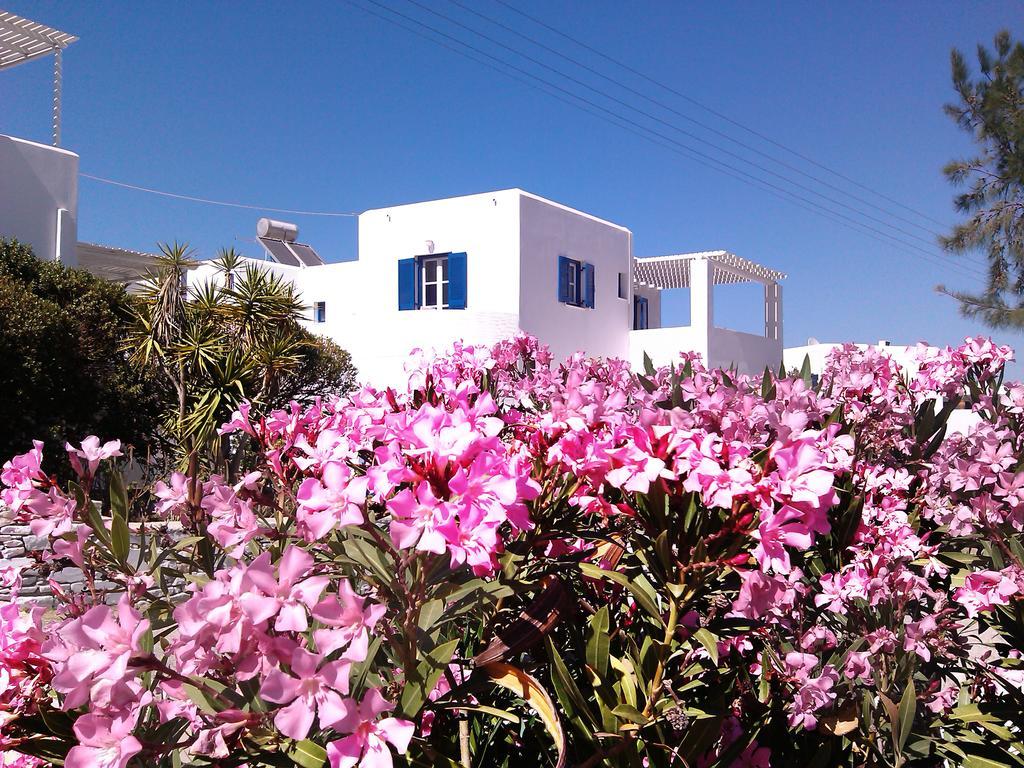 Nicos Studios & Apartments Logaras Extérieur photo