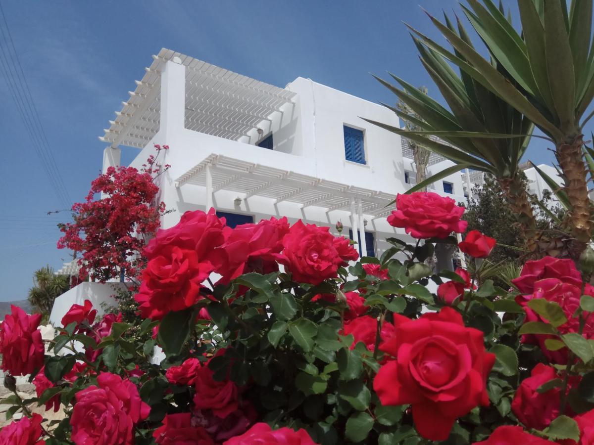 Nicos Studios & Apartments Logaras Extérieur photo